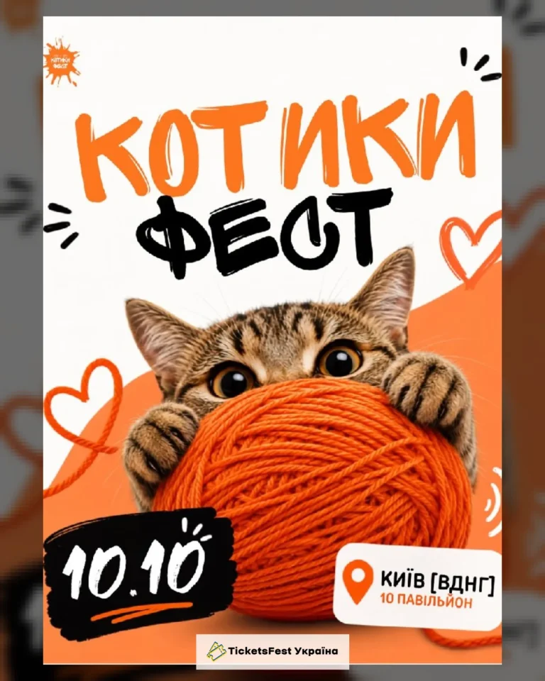КОТИКИ ФЕСТ